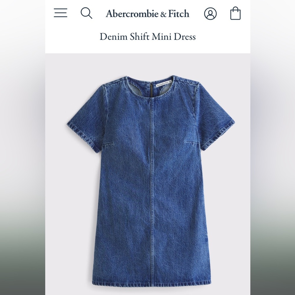 Abercrombie & Fitch Blue Denim Shift Mini Dress